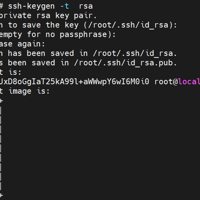 linux下ssh配置免密登录