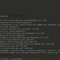 python中venv虚拟环境使用方法